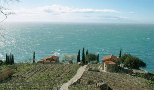 Ferienhaus auf Elba mit Hund